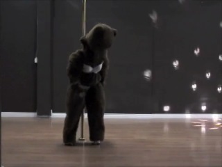 Pole dance приколы: Sexy Pole Dancing Bear (Crystal Lai)